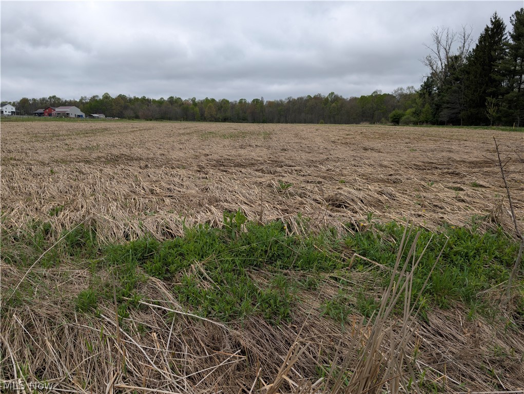 Center Road Property Photo 3