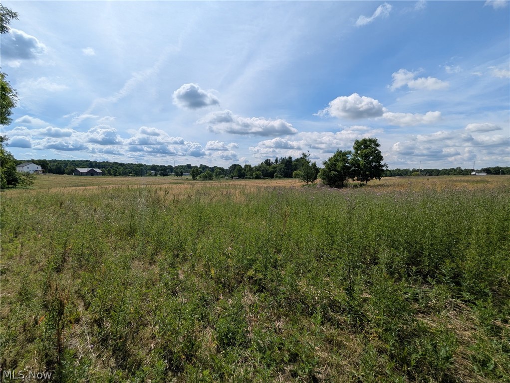 Center Road Property Photo 4