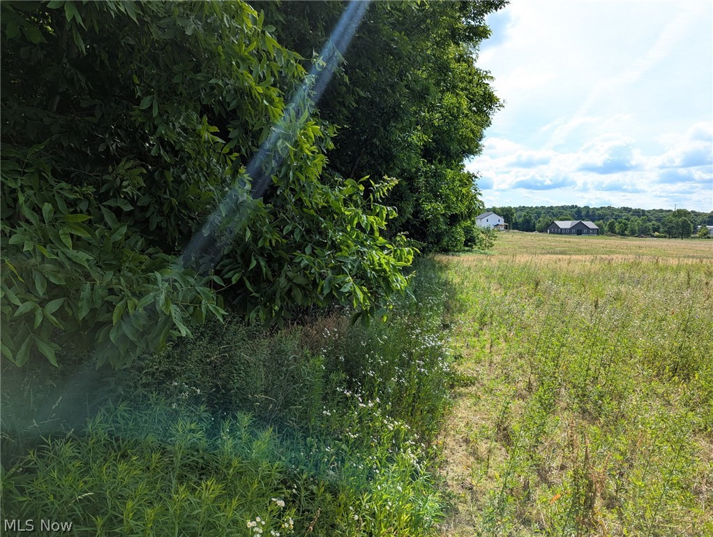 Center Road Property Photo 5
