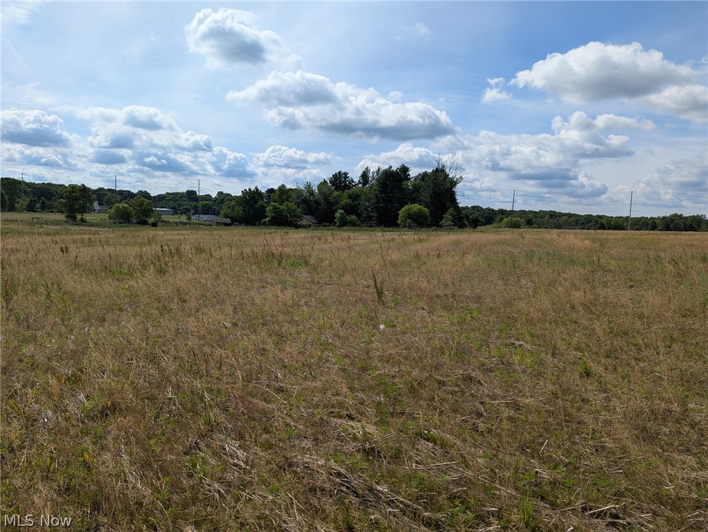 Center Road Property Photo 6