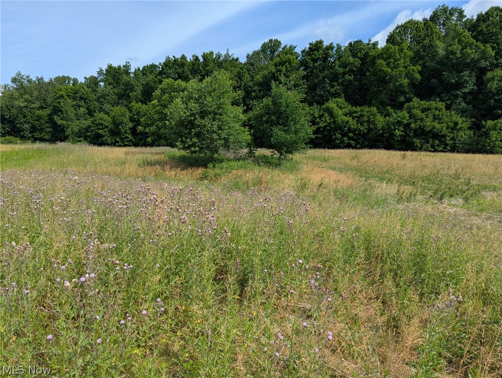 Center Road Property Photo 7