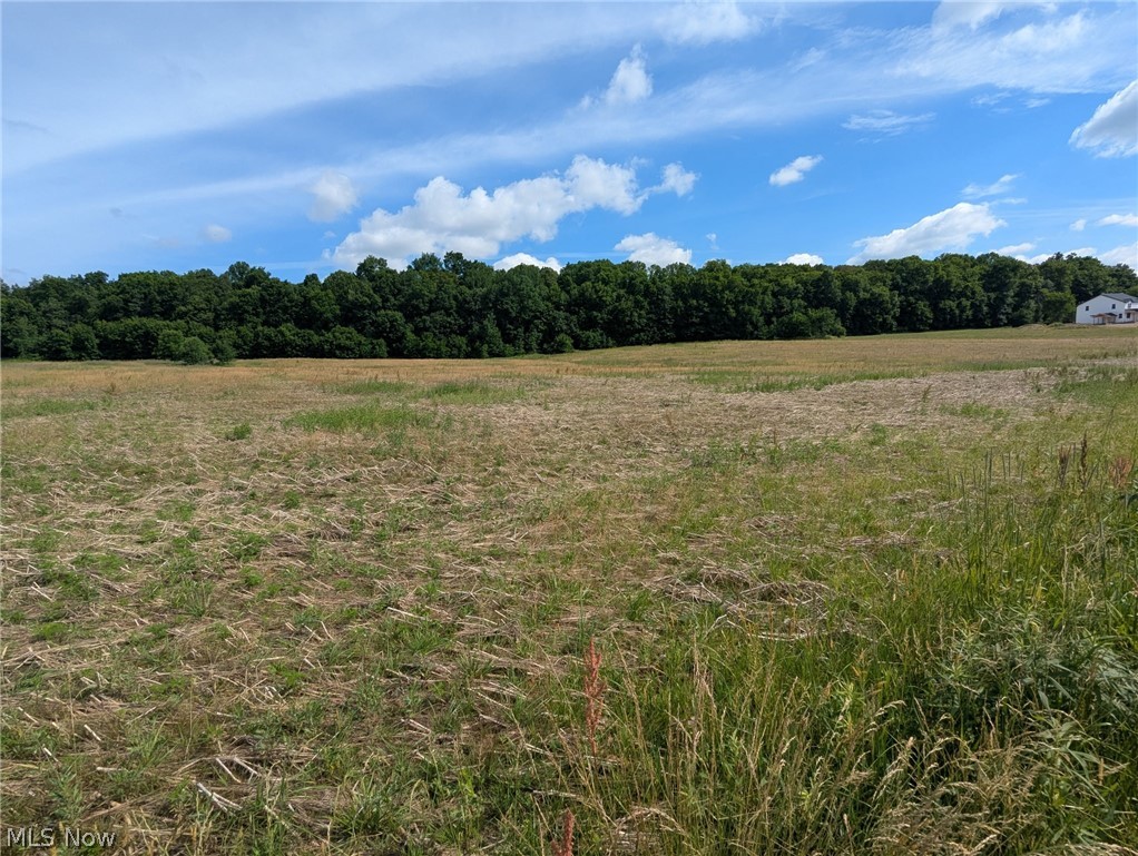 Center Road Property Photo 8