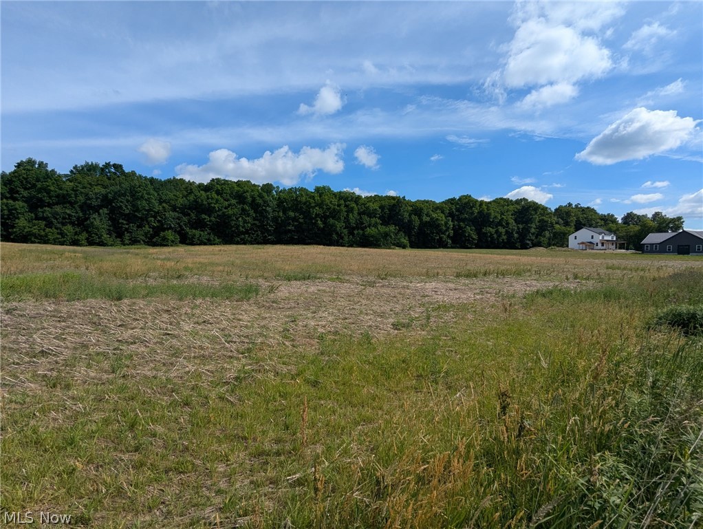 Center Road Property Photo 9