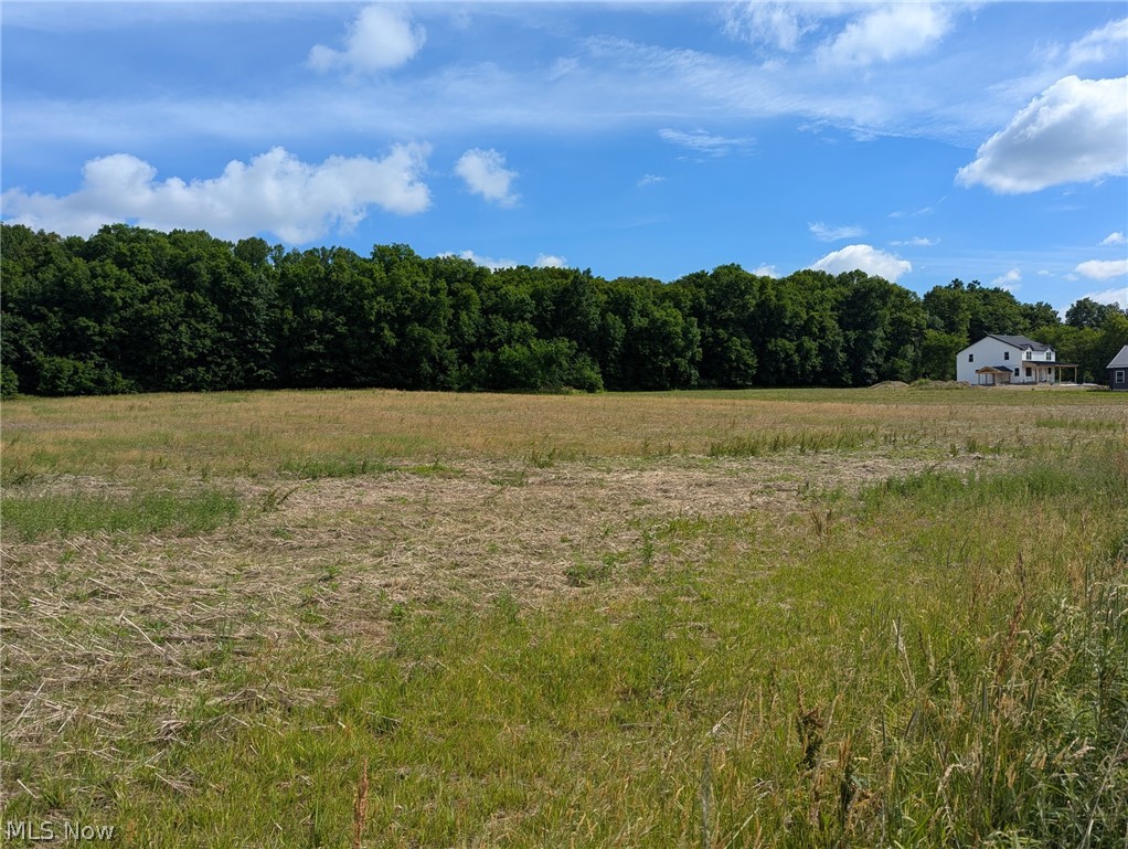 Center Road Property Photo 10