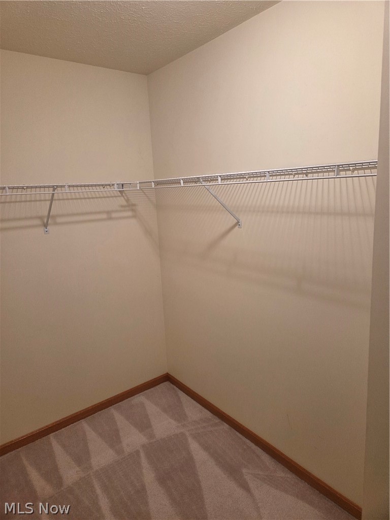 220 Montgomery Drive Property Photo 24