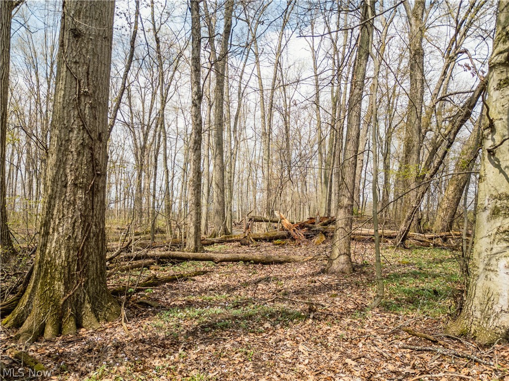 Steiner Road Property Photo 4