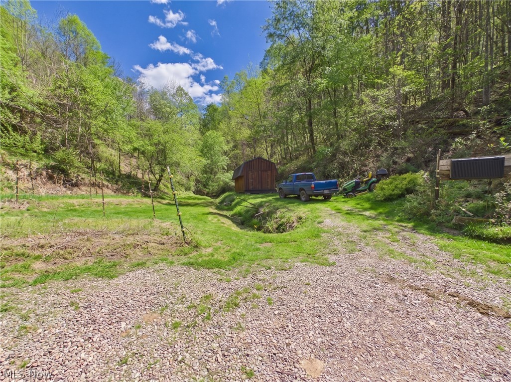1000 Coon Fork Road Property Photo 10
