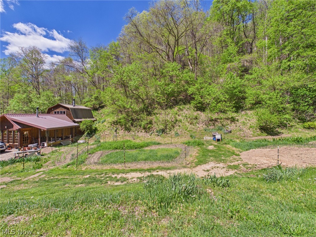 1000 Coon Fork Road Property Photo 11