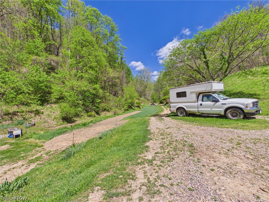 1000 Coon Fork Road Property Photo 12