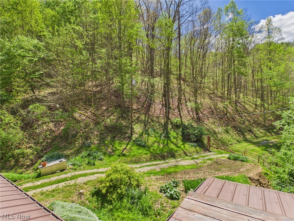 1000 Coon Fork Road Property Photo 39