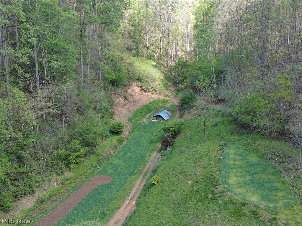 1000 Coon Fork Road Property Photo 42
