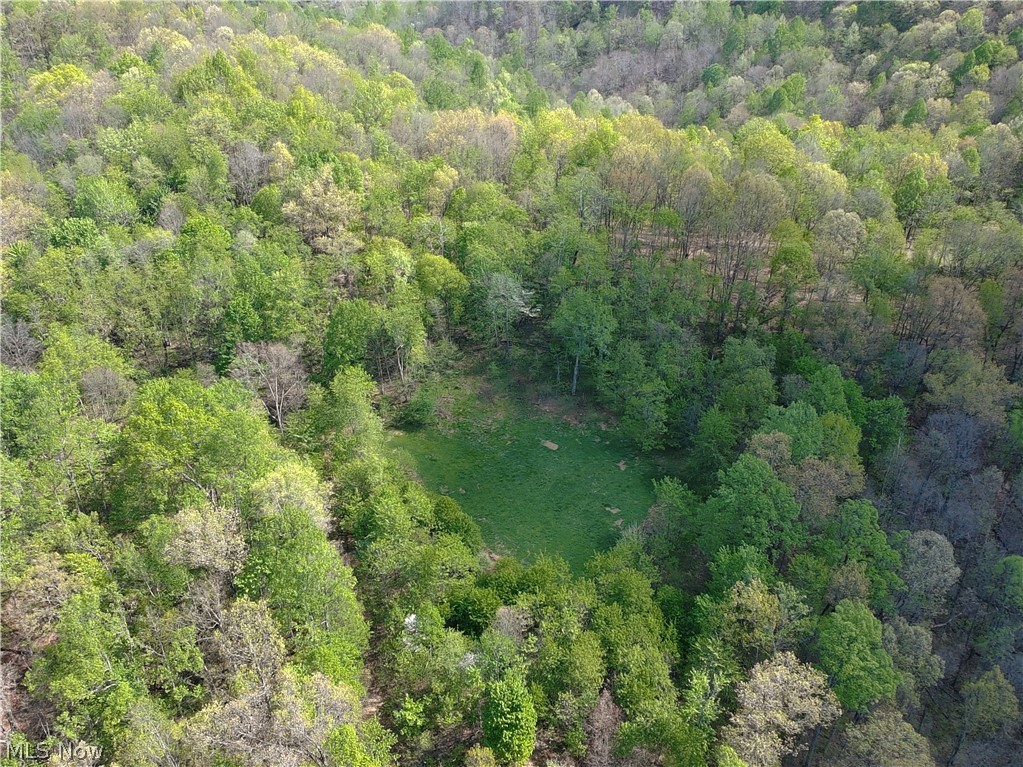 1000 Coon Fork Road Property Photo 44