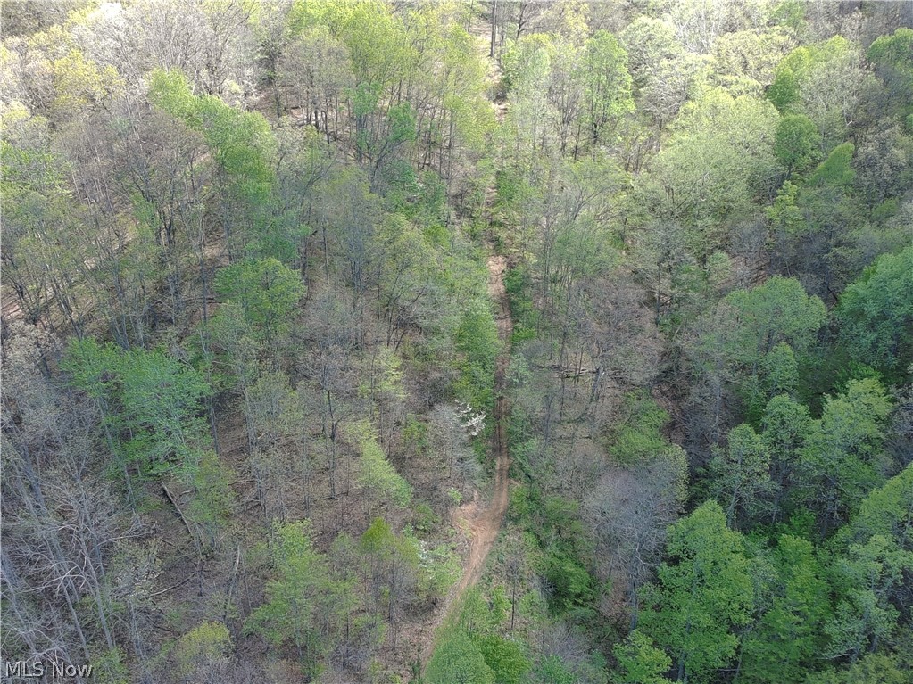 1000 Coon Fork Road Property Photo 45
