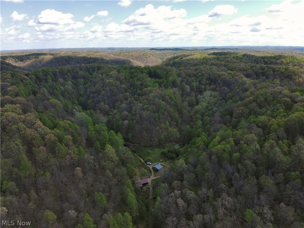 1000 Coon Fork Road Property Photo 46
