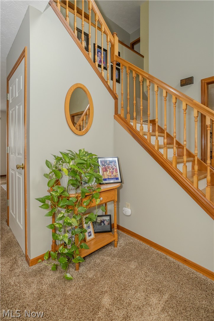 1009 Brittingham Drive Property Photo 5