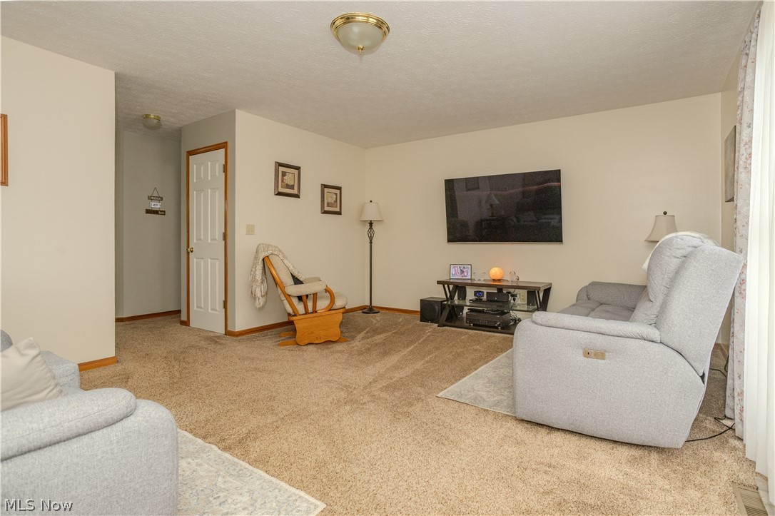 1009 Brittingham Drive Property Photo 15
