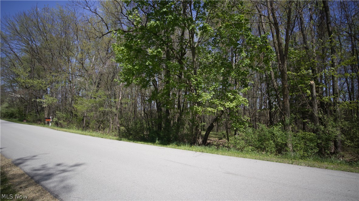 Mohican Trail Property Photo 4