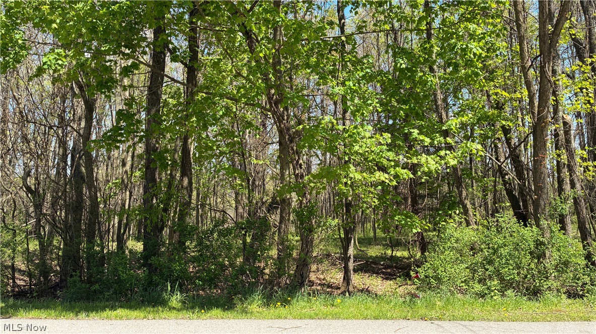 Mohican Trail Property Photo 6