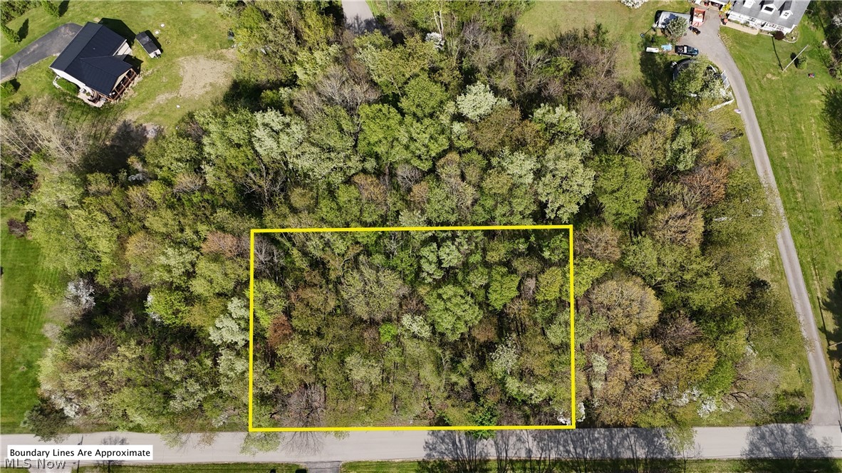 Mohican Trail Property Photo 7