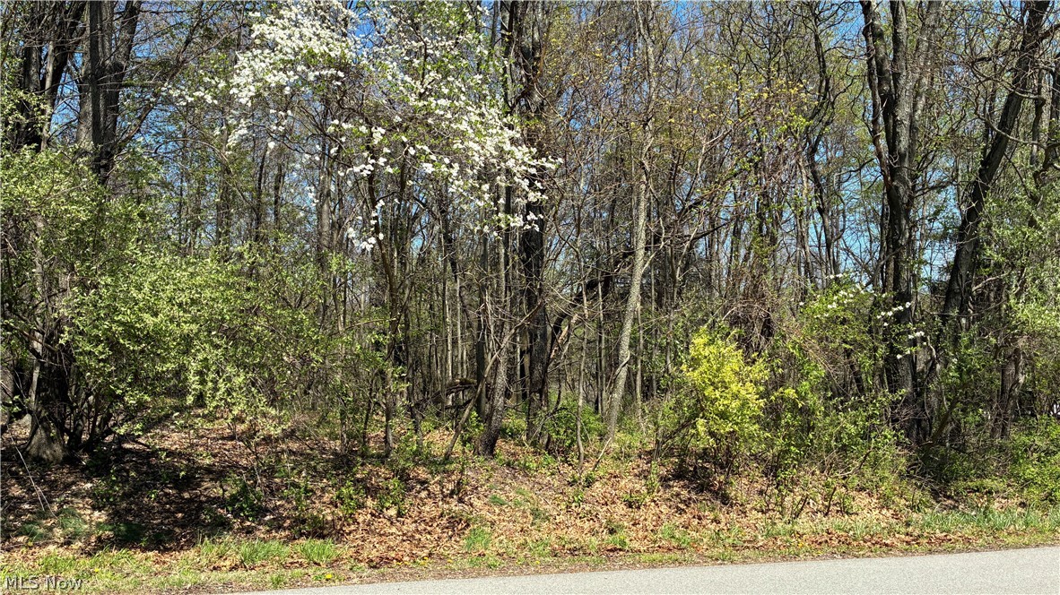 Mohican Trail Property Photo 9