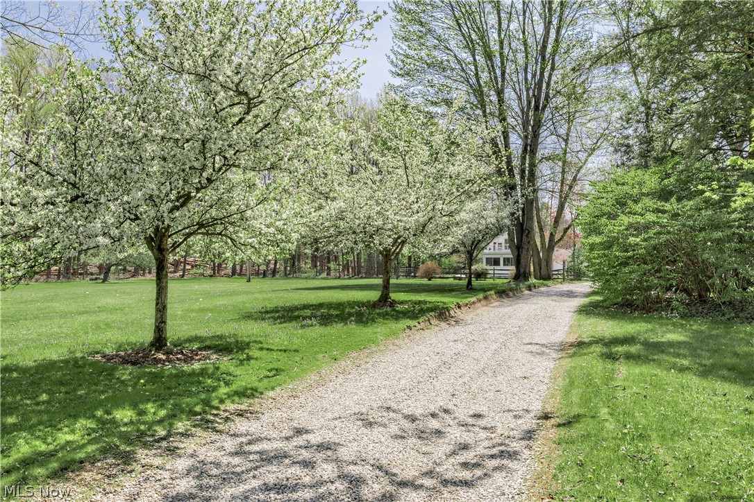 15879 Hemlock Road Property Photo 4