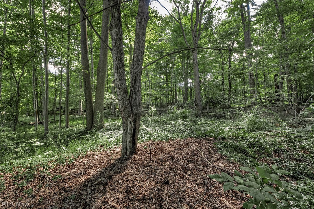 15879 Hemlock Road Property Photo 34