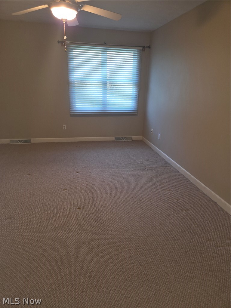 193 Mathews Road Property Photo 22