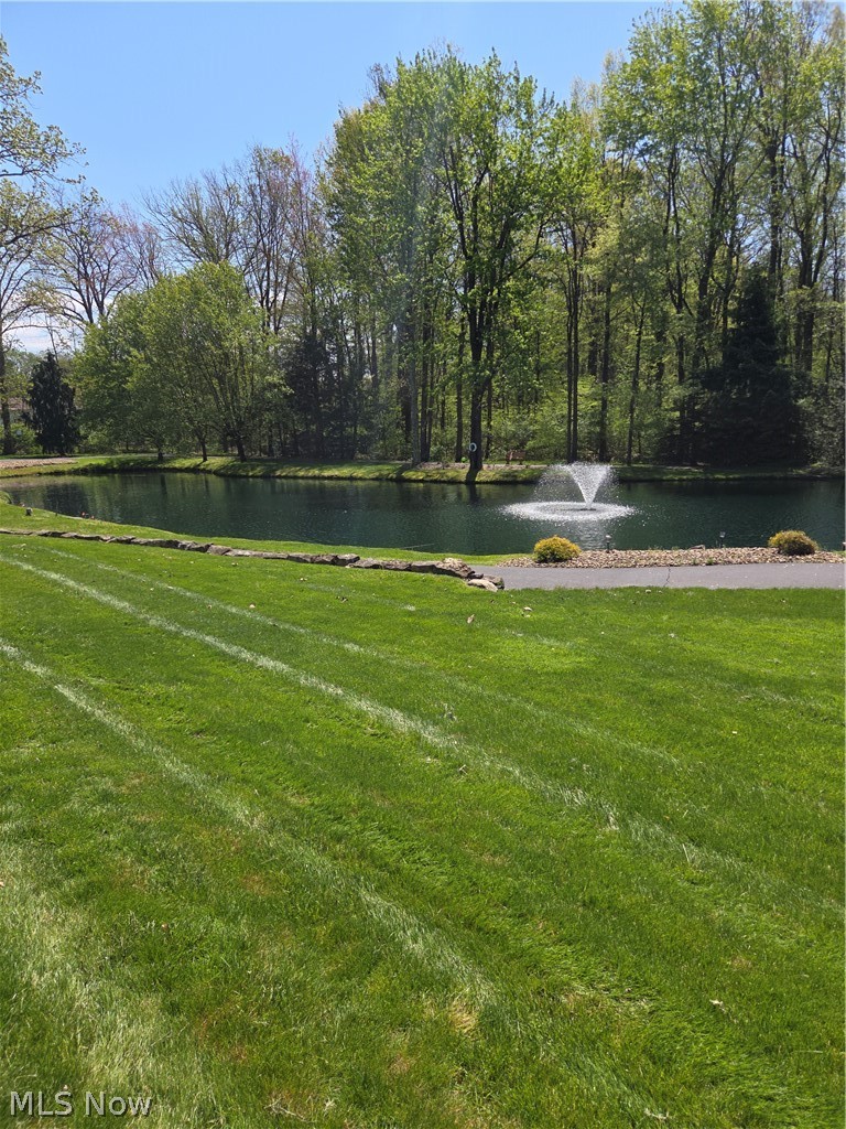 193 Mathews Road Property Photo 47