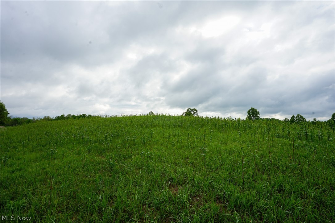 Van Fossen Ln Property Photo 3