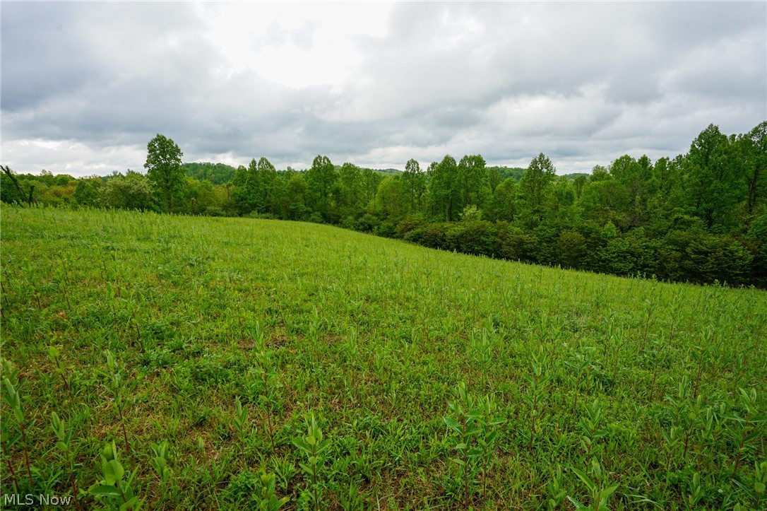 Van Fossen Ln Property Photo 4