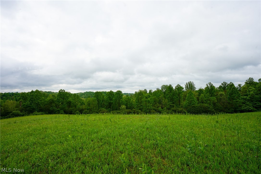 Van Fossen Ln Property Photo 5