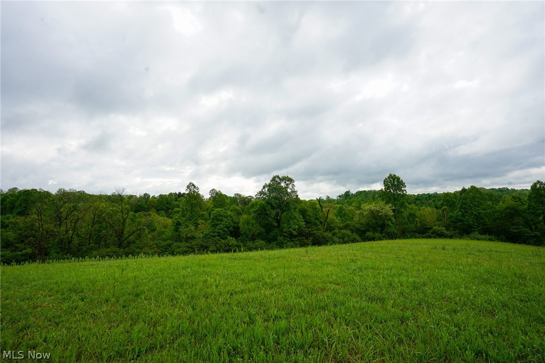 Van Fossen Ln Property Photo 6