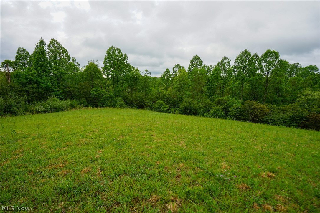 Van Fossen Ln Property Photo 8