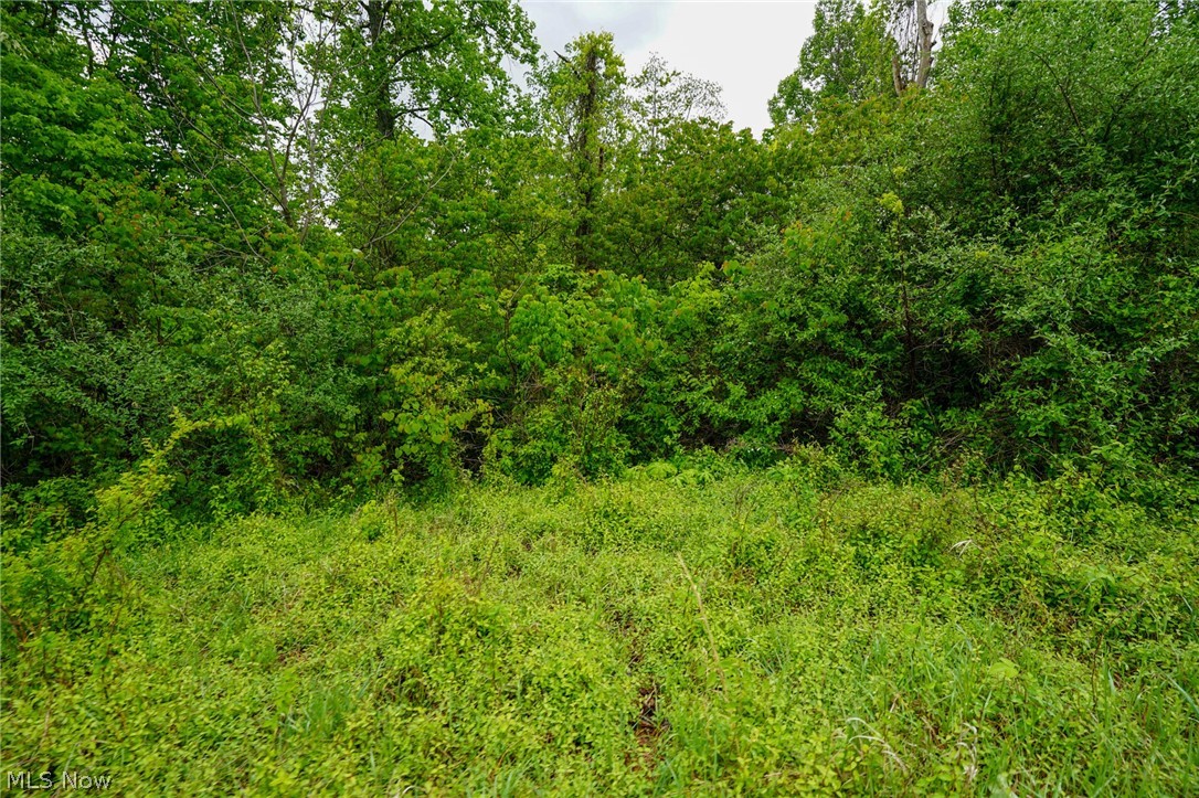 Van Fossen Ln Property Photo 10