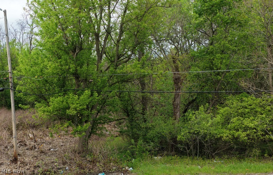 0 Montgomery Avenue Property Photo 1