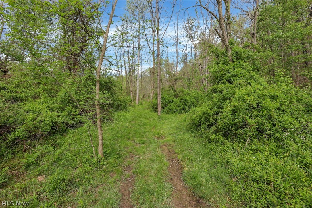 6879 Beard Price Road Property Photo 23