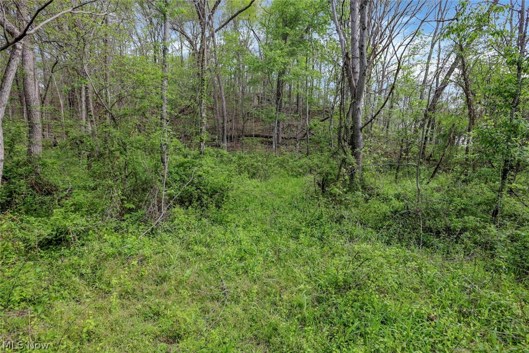 6879 Beard Price Road Property Photo 25