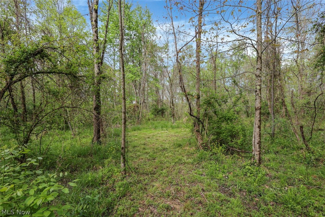 6879 Beard Price Road Property Photo 27