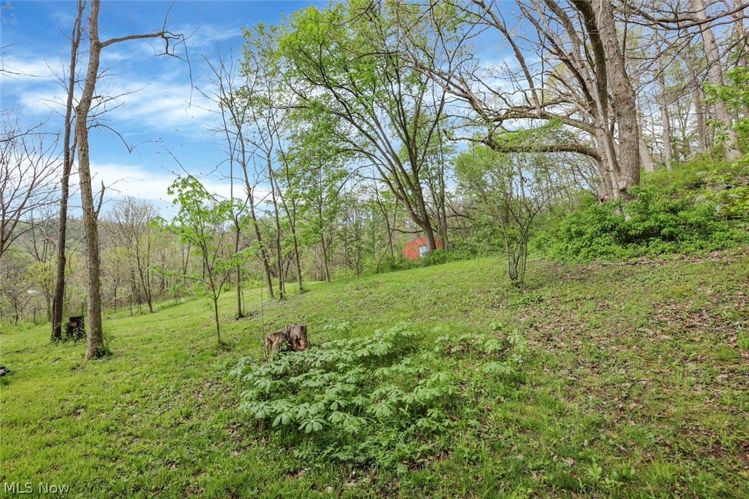 6879 Beard Price Road Property Photo 36