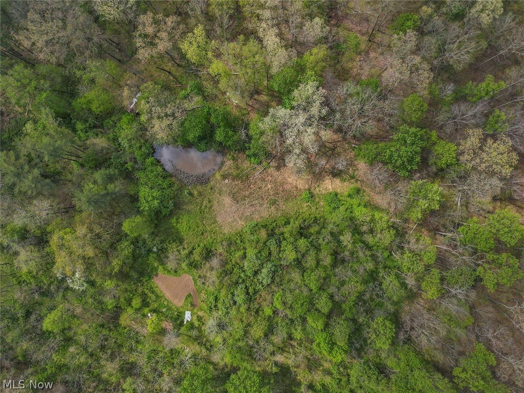 6879 Beard Price Road Property Photo 43