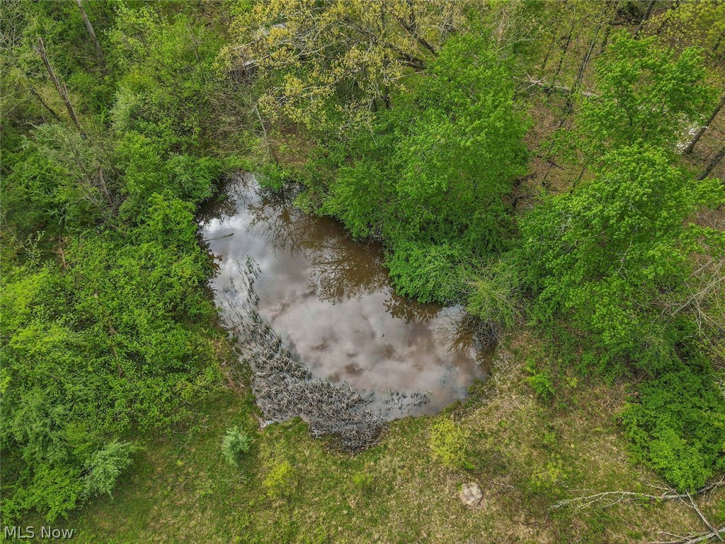 6879 Beard Price Road Property Photo 45