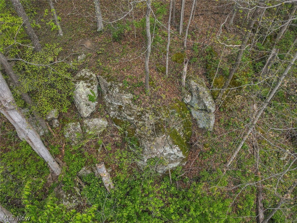 6879 Beard Price Road Property Photo 47