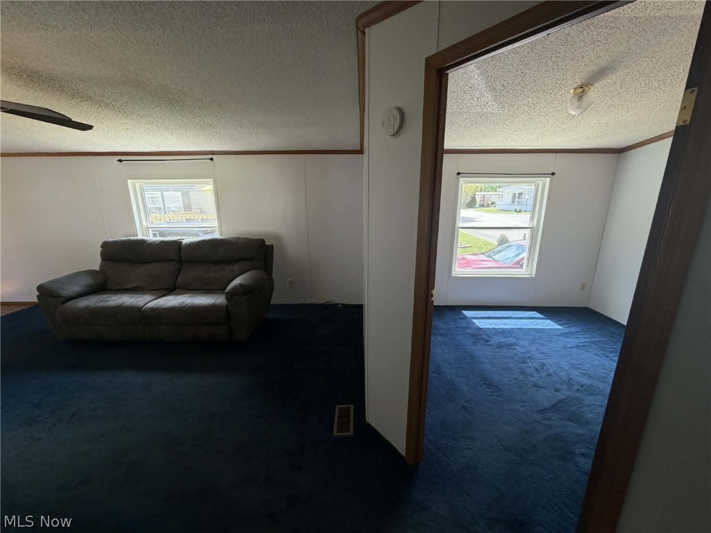 8 Hawaiian Drive Property Photo 29