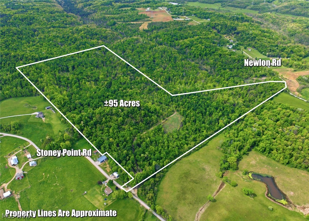 95 Acres Newlon Road Property Photo 1