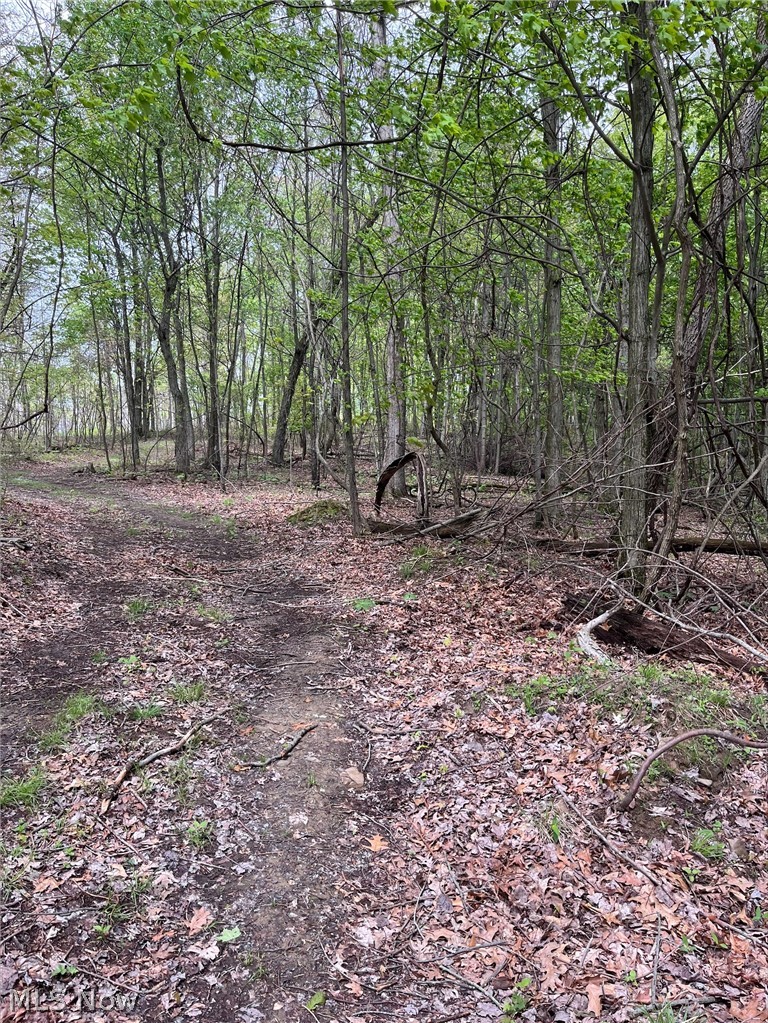 Sandy Ridge Road Property Photo 1
