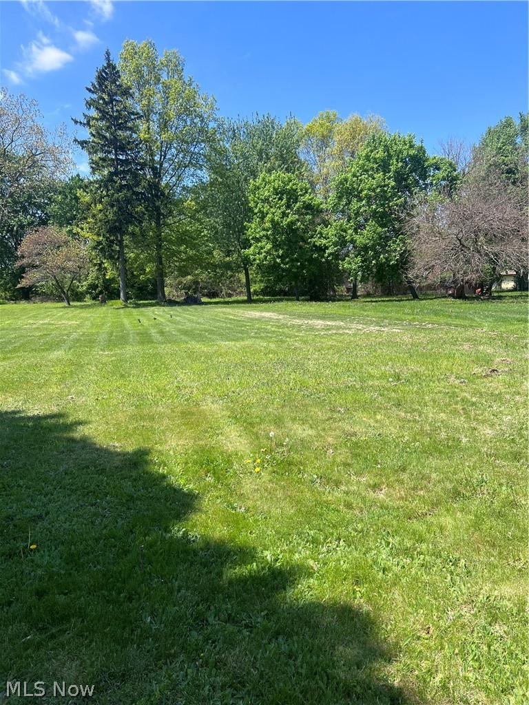 345 Park Road Property Photo 3