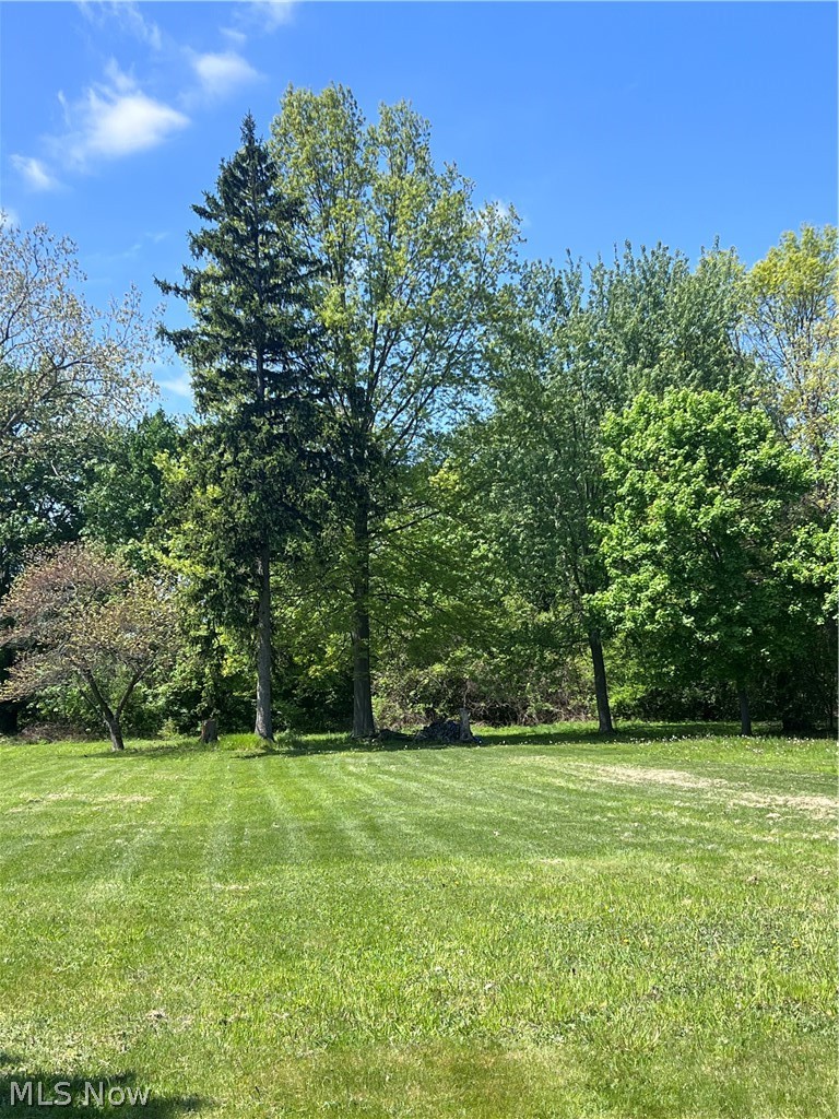 345 Park Road Property Photo 4