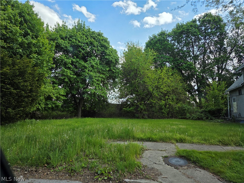 Montgomery Avenue Property Photo 1