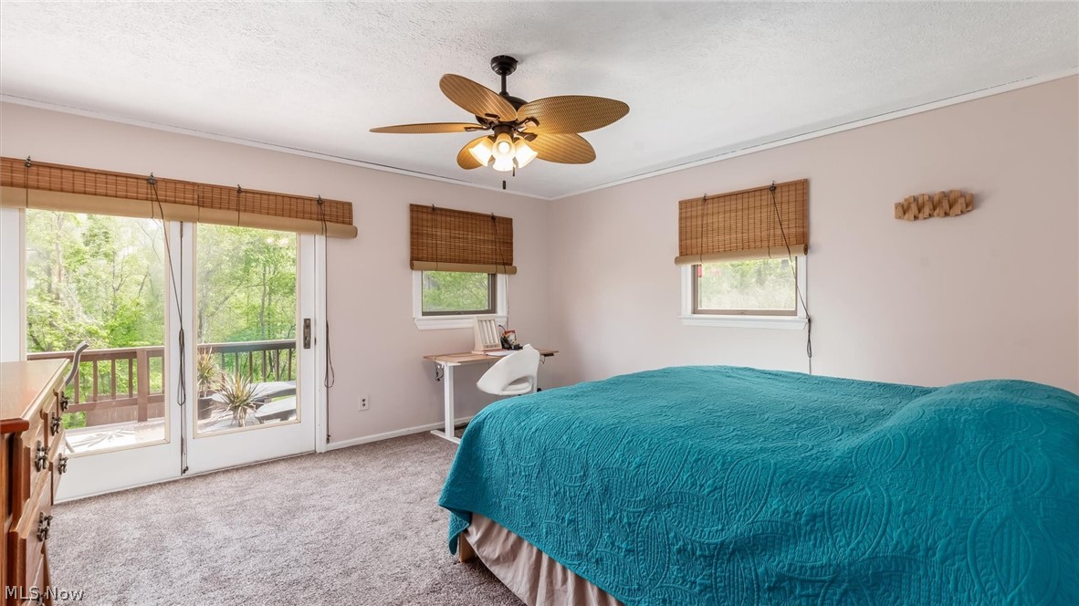 65652 Beeham Run Road Property Photo 12