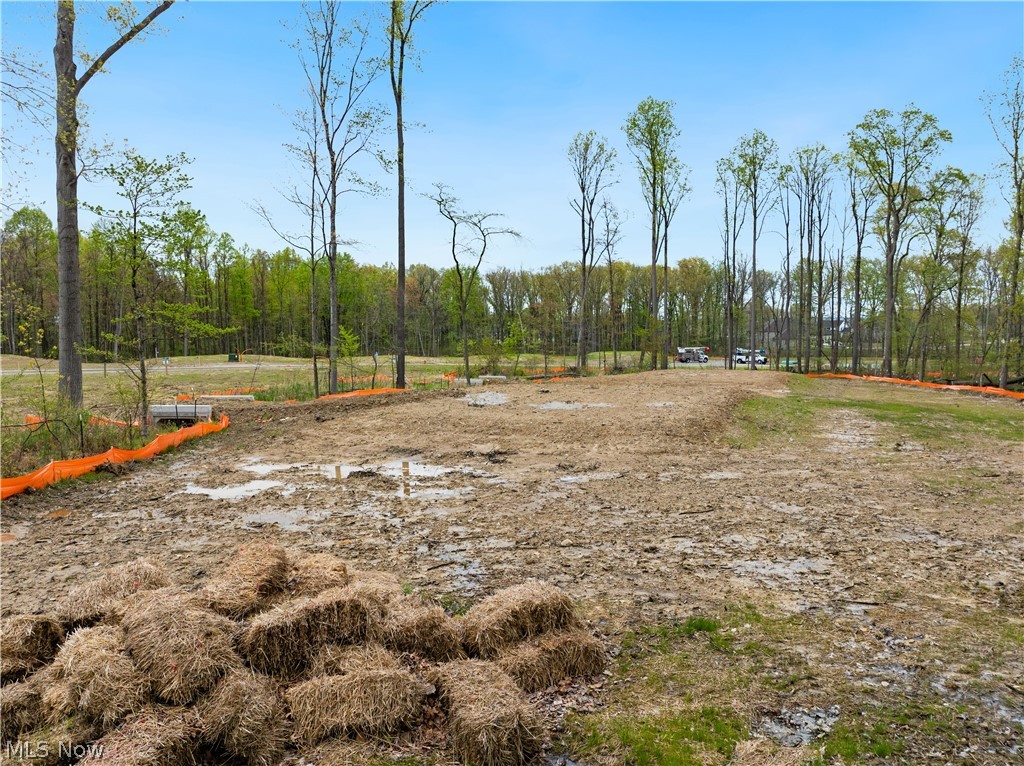 9526 River Birch Run Property Photo 1